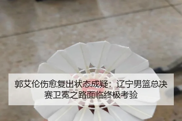 guo-ai-lun-shang-yu-fu-chu-zhuang-tai-cheng-yi-liao-ning-nan-lan-zong-jue-sai-wei-mian-zhi-lu-mian-lin-zhong-ji-kao-yan-2-499.jpg